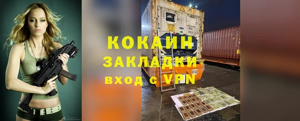 индика Алексеевка