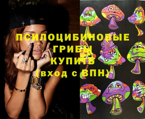 индика Алексеевка