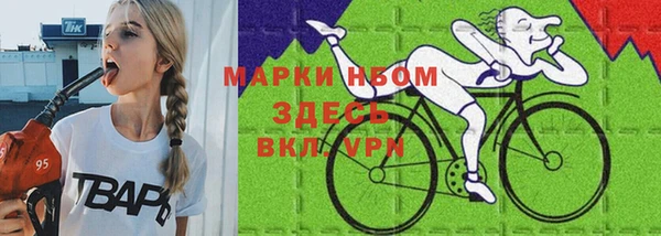 индика Алексеевка